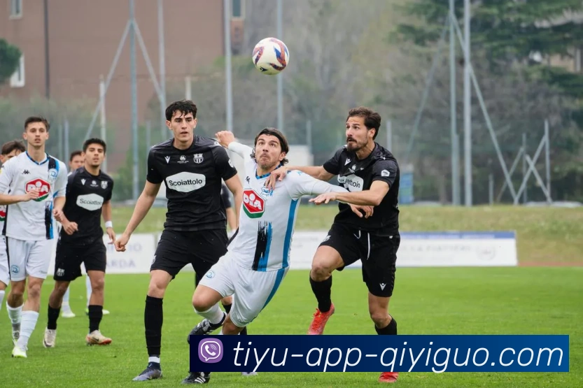 奇异果体育发展历程