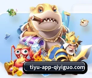 五大服务分区,信息按项目分类 - 多运动项目内容板块 | qyg